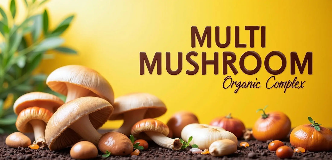 Boost Your Health Naturally with Multi-Mushroom Organic Complex